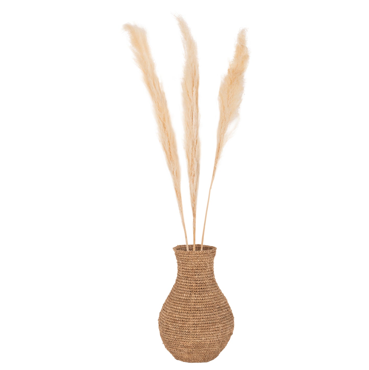 Decorative Dried Reed 3pcs Hm7961 White 140hcm.