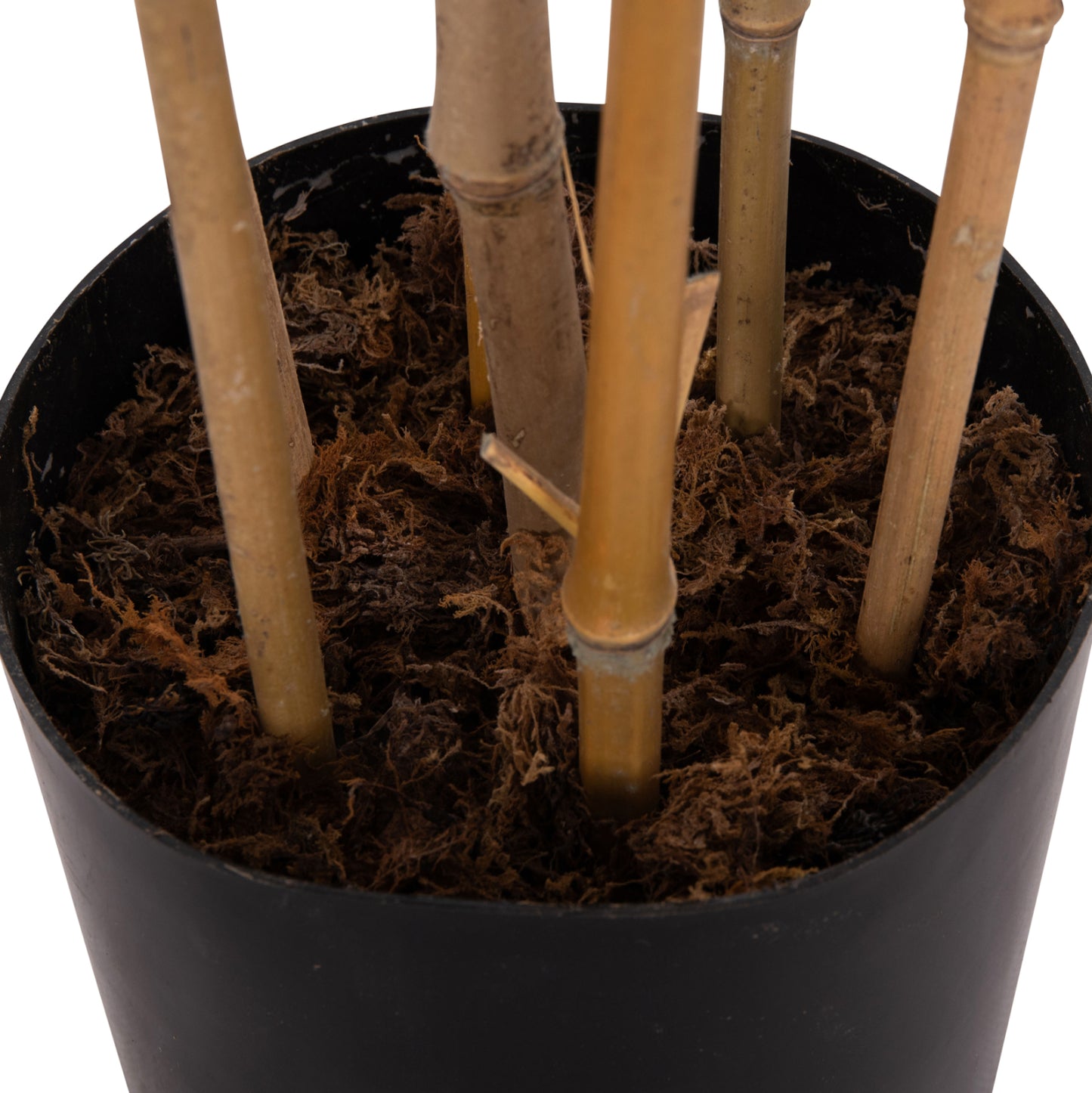Decorative Synthetic Plant In Pot Hm4737 Bamboo 20x95x200hcm.