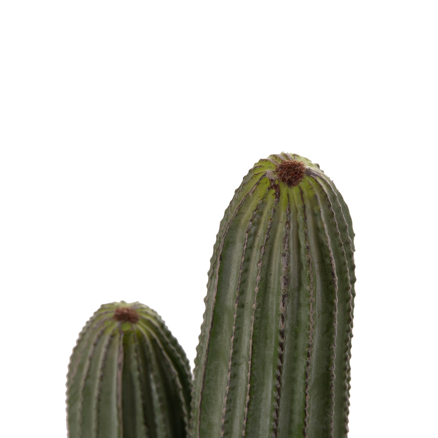 Decorative Synthetic Plant In Pot Hm4744 Cactus Φ17.5x105hcm.