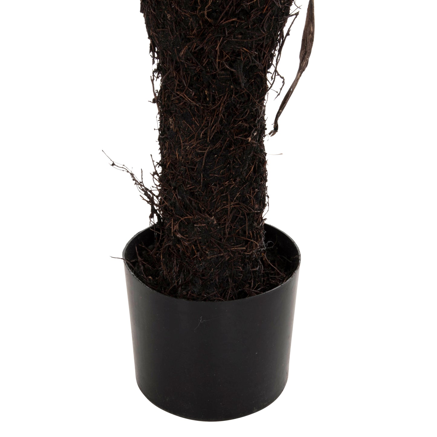 Decorative Synthetic Plant Hm7975 Asplenium Prolongatum (fern) In Pot 137hcm.