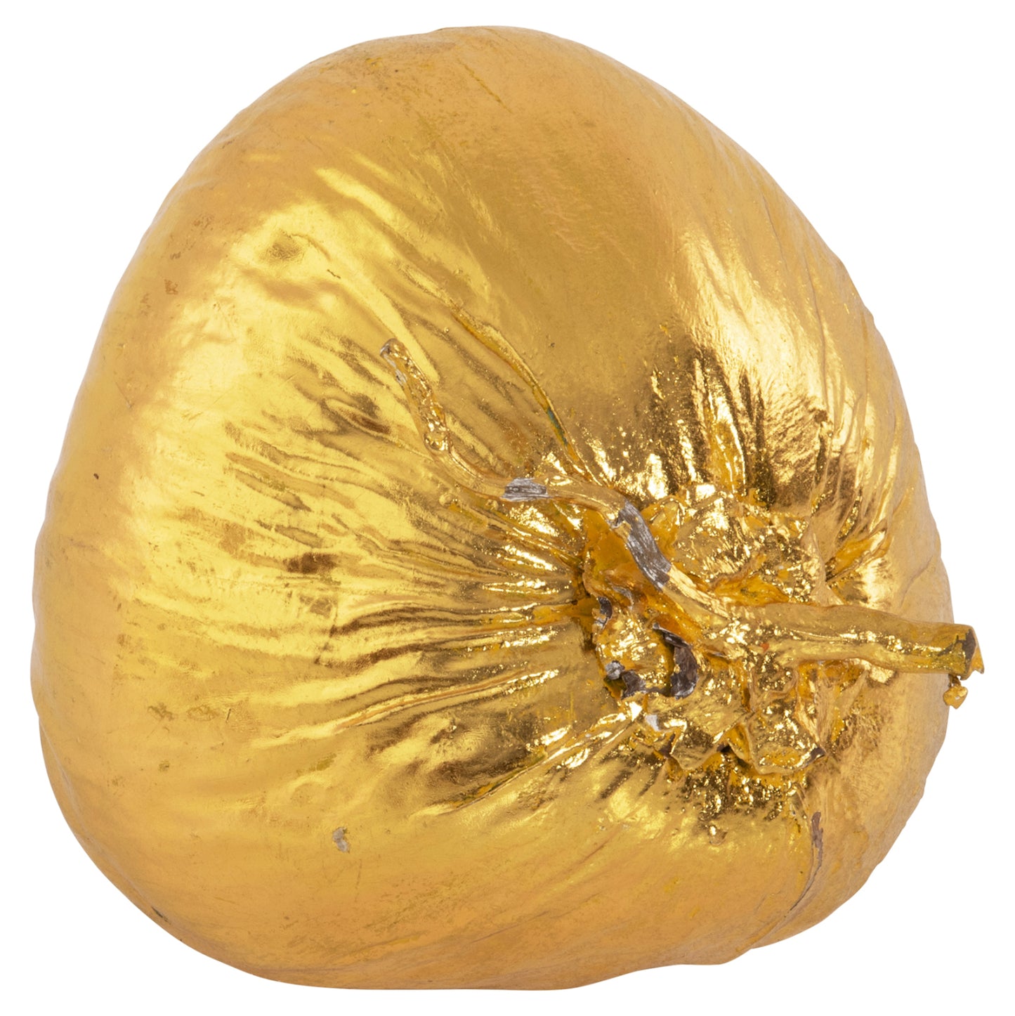 Table Decoration Hm4326.03 Coconut In Gold Color 20x20x20hcm.