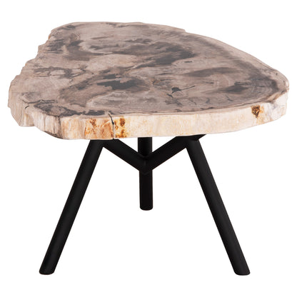 Side Table Saman Hm9931 Metal Black Legs-petrified Wood Look Stone Top 70x55x40hcm.
