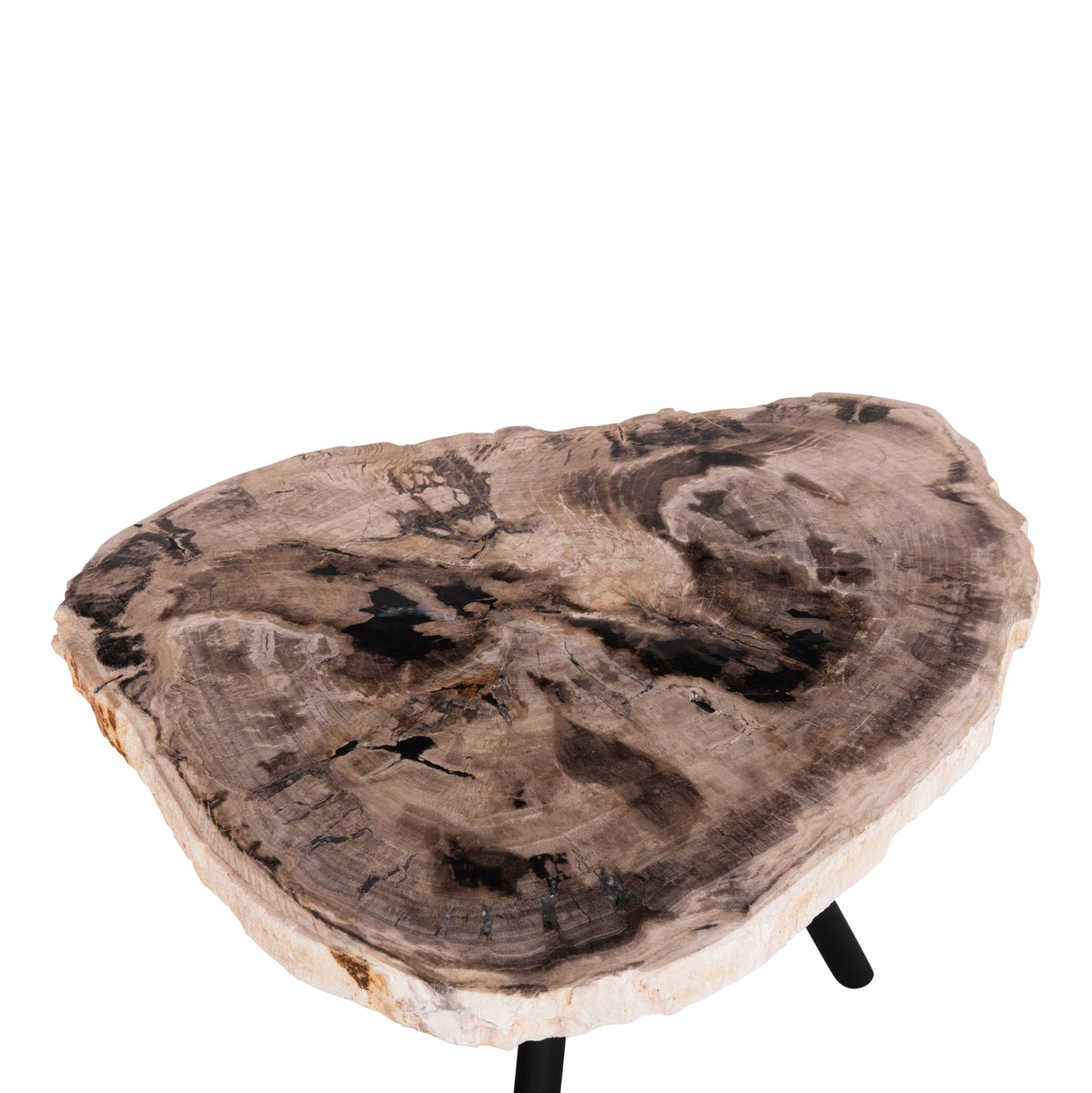 Side Table Saman Hm9931 Metal Black Legs-petrified Wood Look Stone Top 70x55x40hcm.