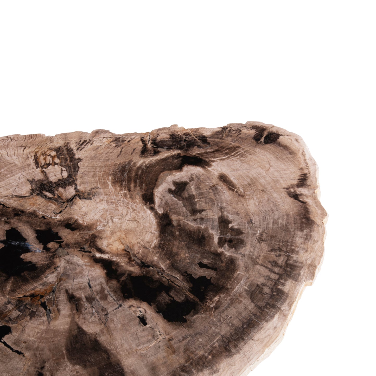 Side Table Saman Hm9931 Metal Black Legs-petrified Wood Look Stone Top 70x55x40hcm.