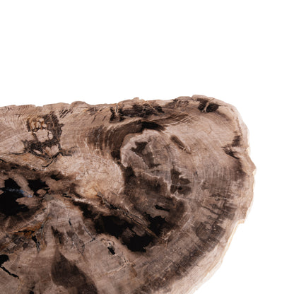 Side Table Saman Hm9931 Metal Black Legs-petrified Wood Look Stone Top 70x55x40hcm.