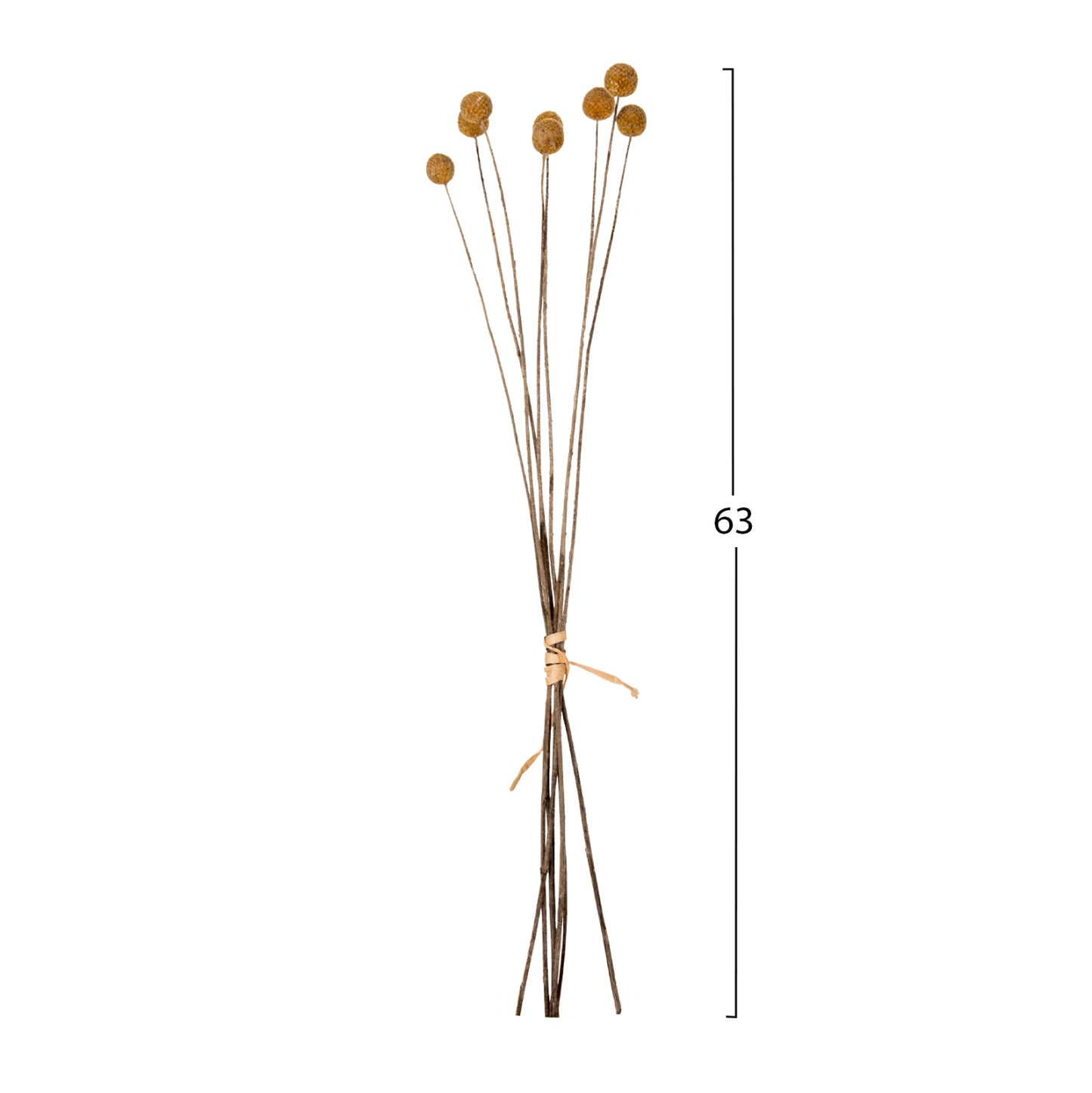 Decorative Dried Bouquet Craspedia Globosa Hm7956 Yellow 63hcm.