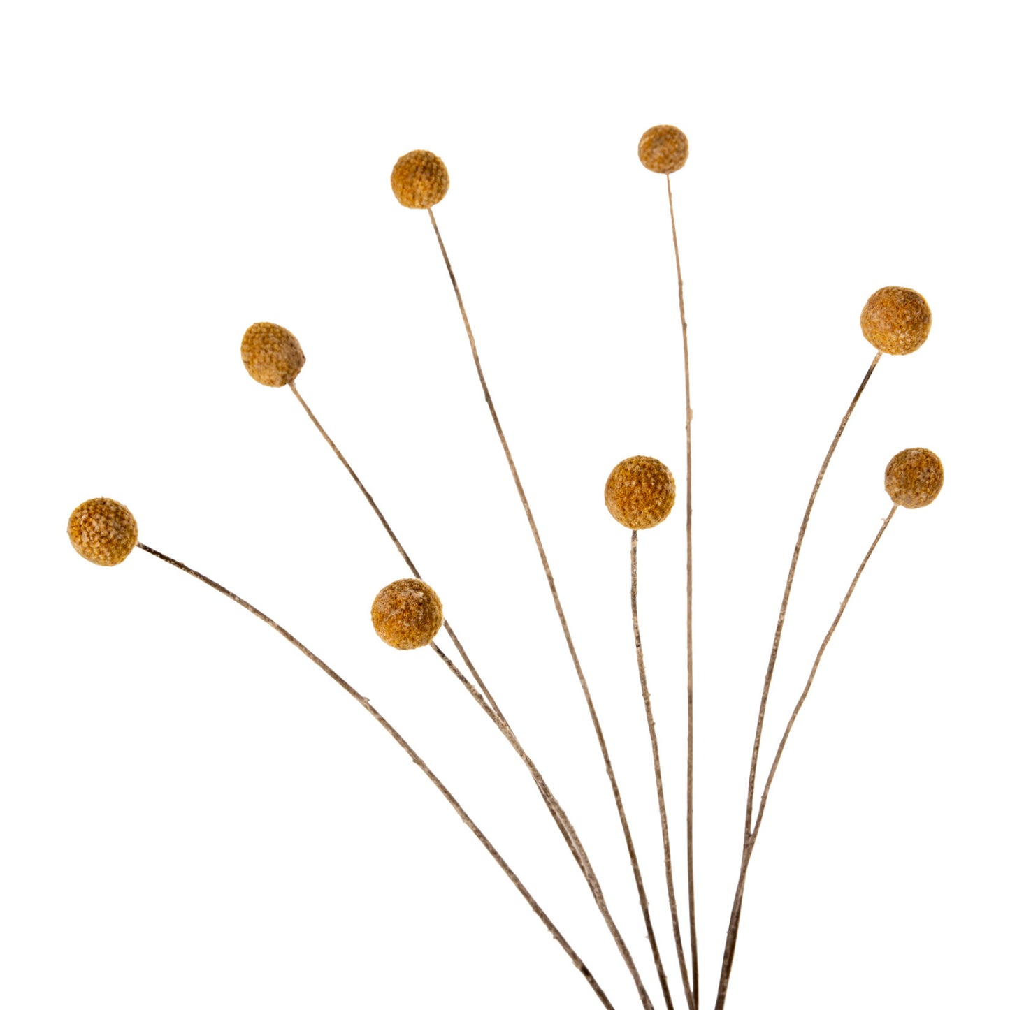 Decorative Dried Bouquet Craspedia Globosa Hm7956 Yellow 63hcm.