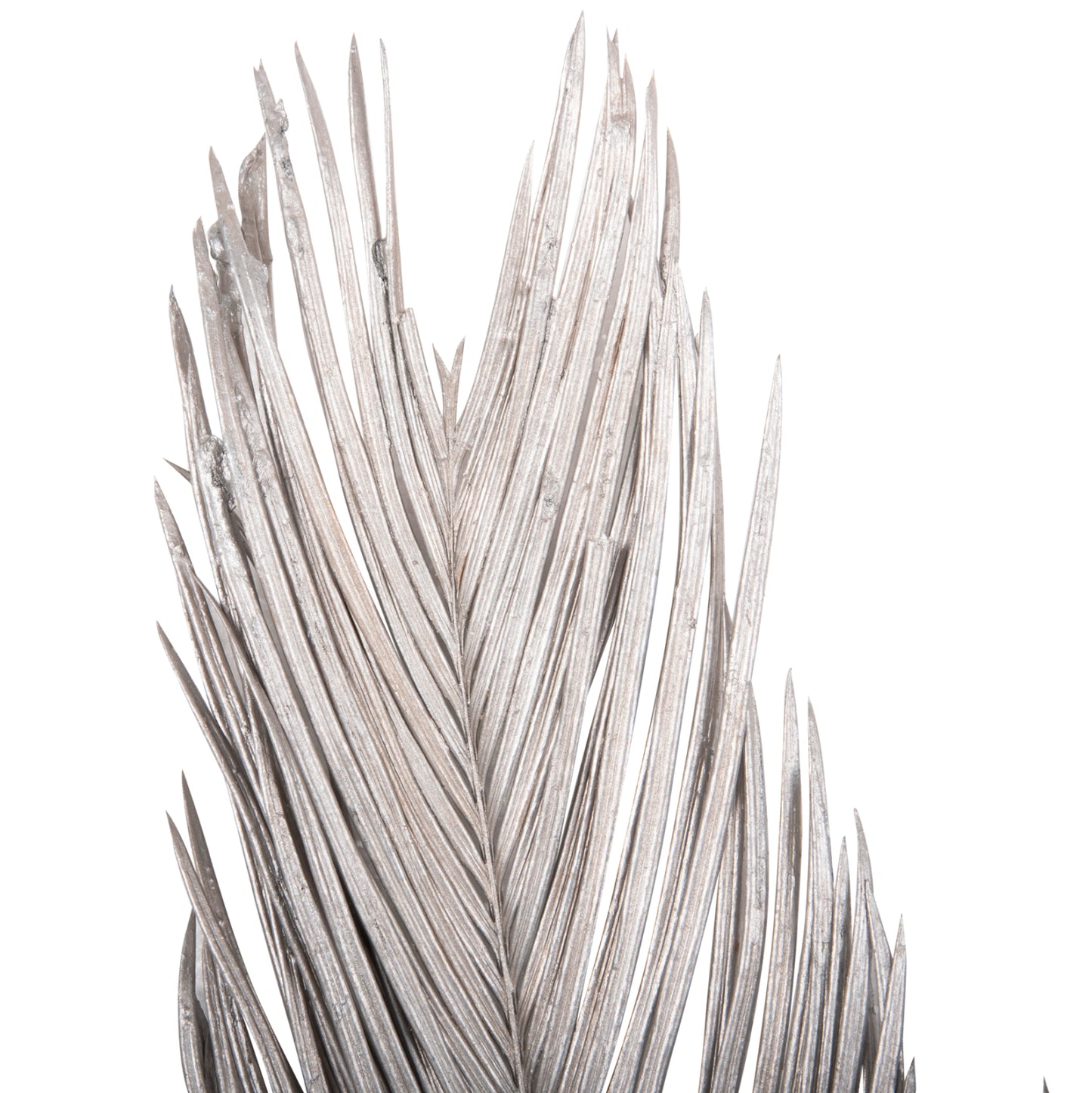 Decorative Dried 3-leaf Set Of Palm Tree ΗΜ7957 Silver 1120hcm.