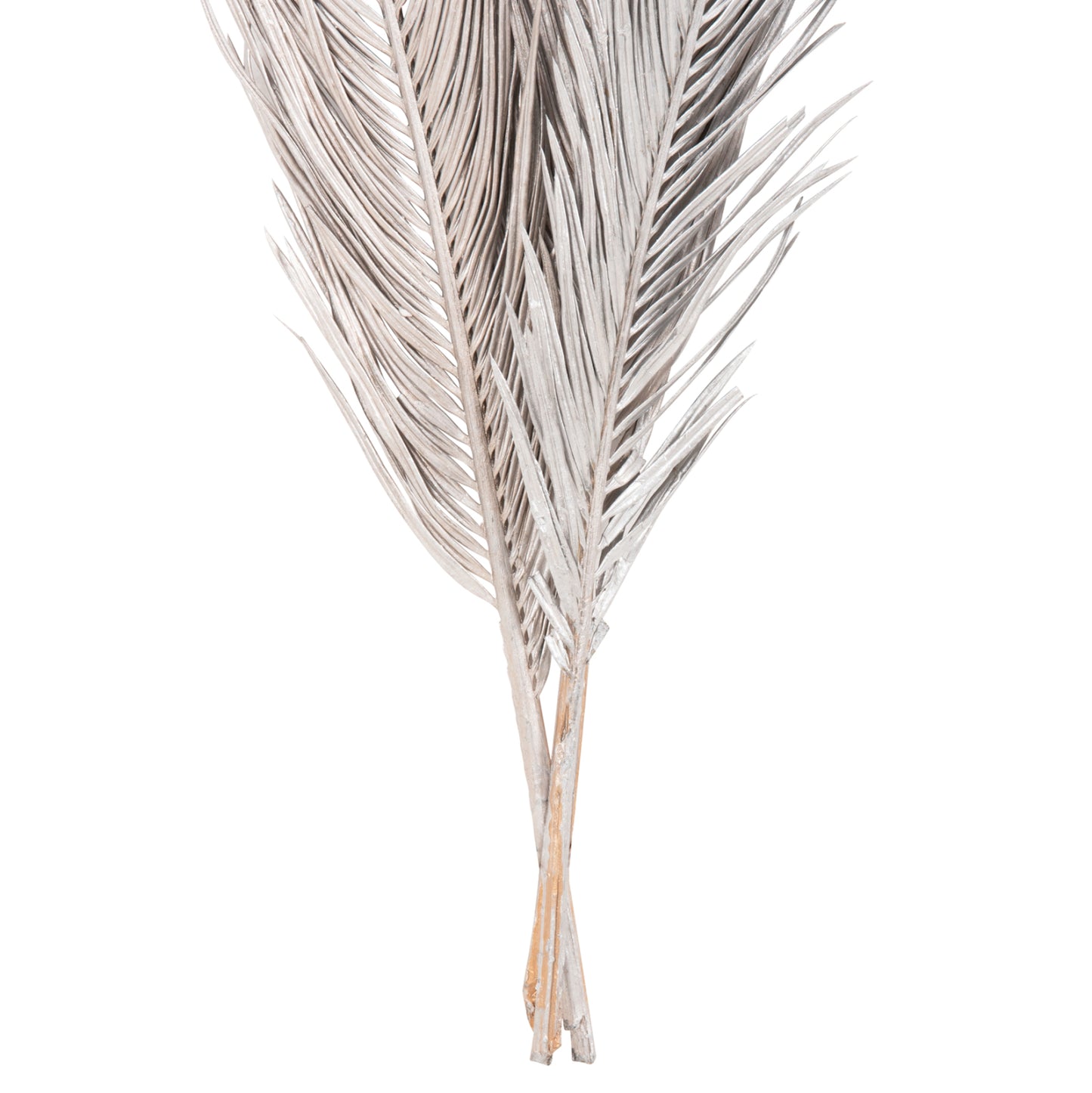 Decorative Dried 3-leaf Set Of Palm Tree ΗΜ7957 Silver 1120hcm.