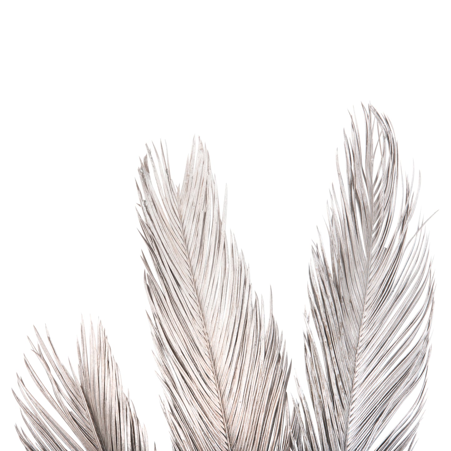 Decorative Dried 3-leaf Set Of Palm Tree ΗΜ7957 Silver 1120hcm.
