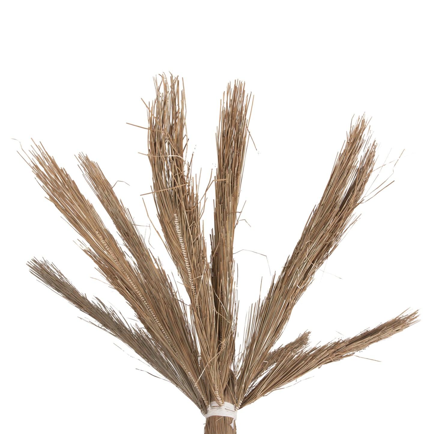 Decorative Tree Tropic Hm4322 Coconut-style Made Of Mendong Grass 360hcm.