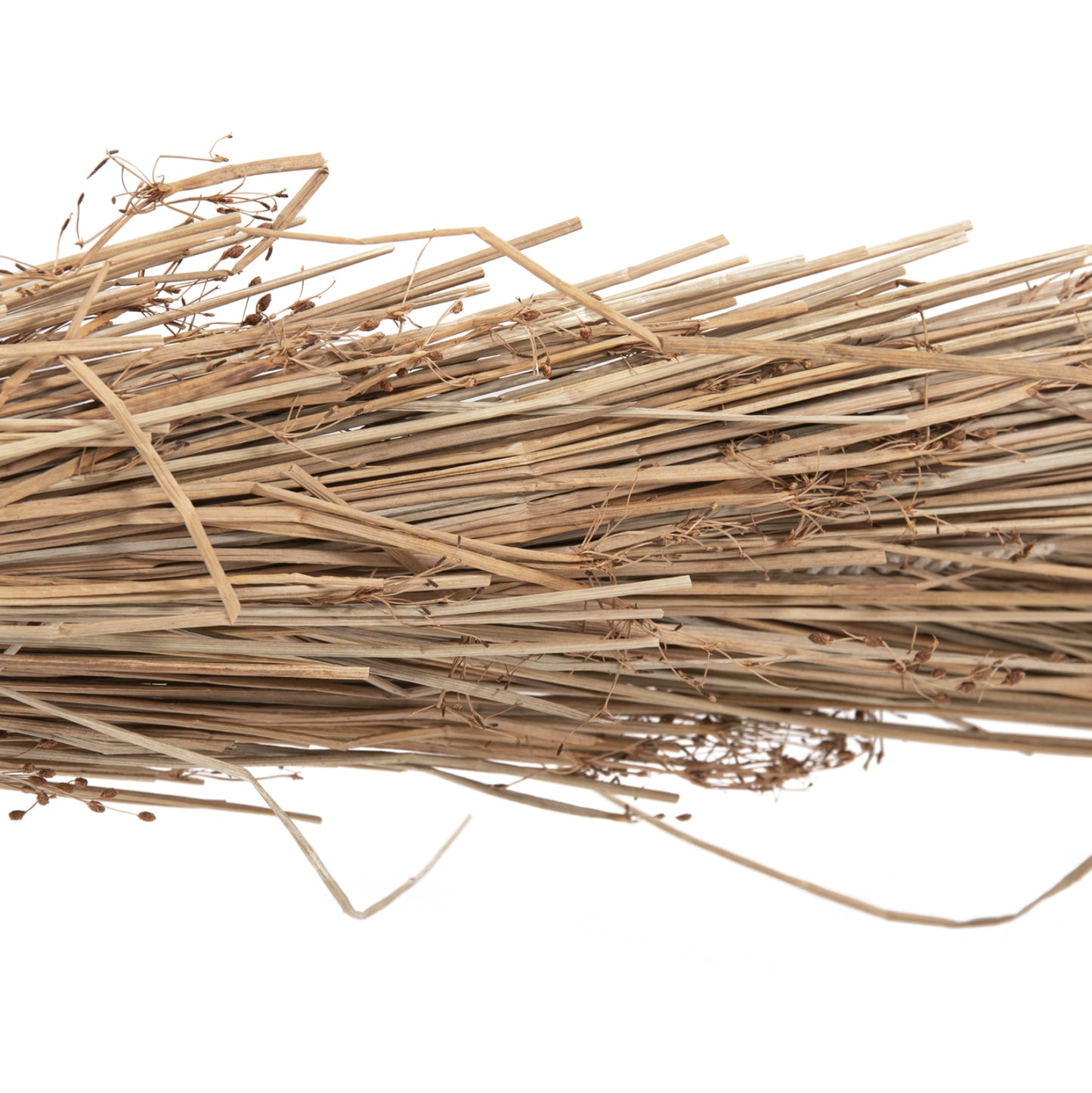 Decorative Tree Tropic Hm4322 Coconut-style Made Of Mendong Grass 360hcm.