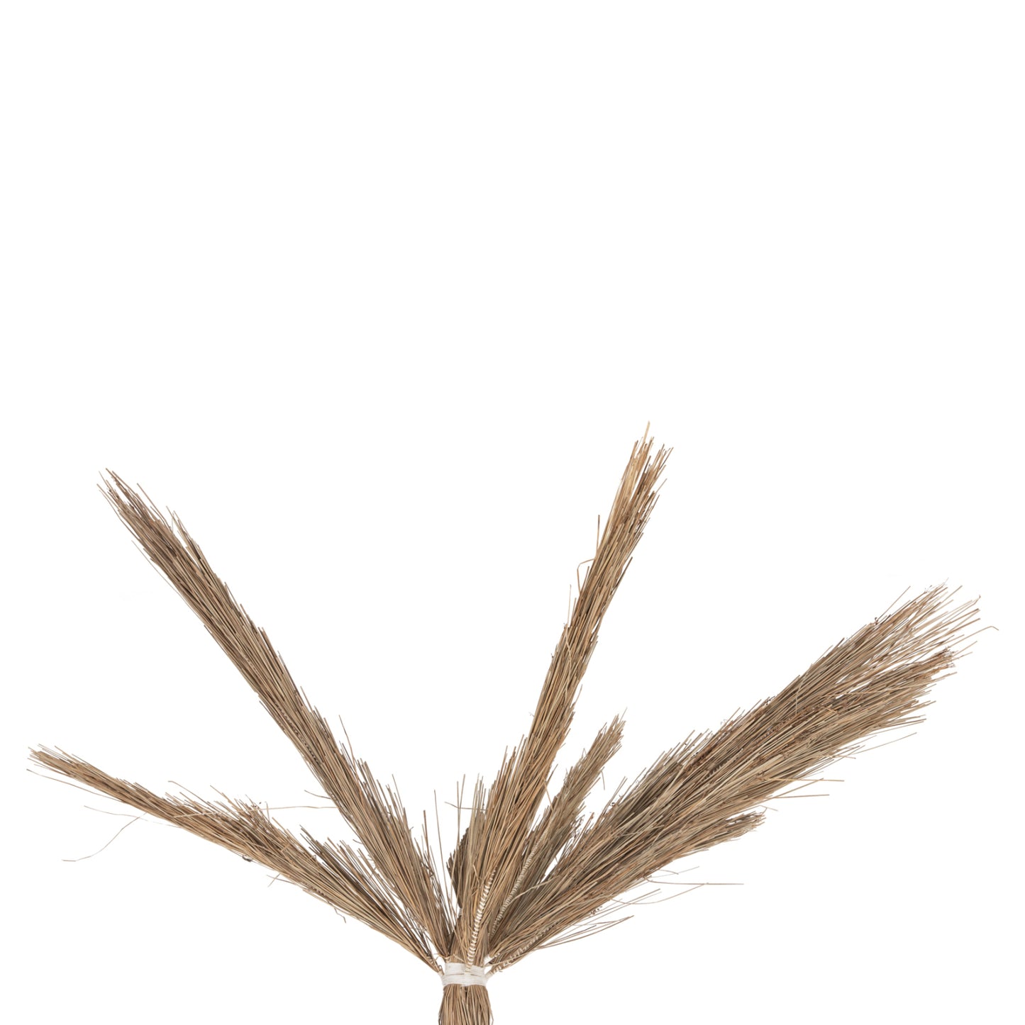 Decorative Tree Tropic Hm4323 Coconut-style Made Of Mendong Grass 310hcm.