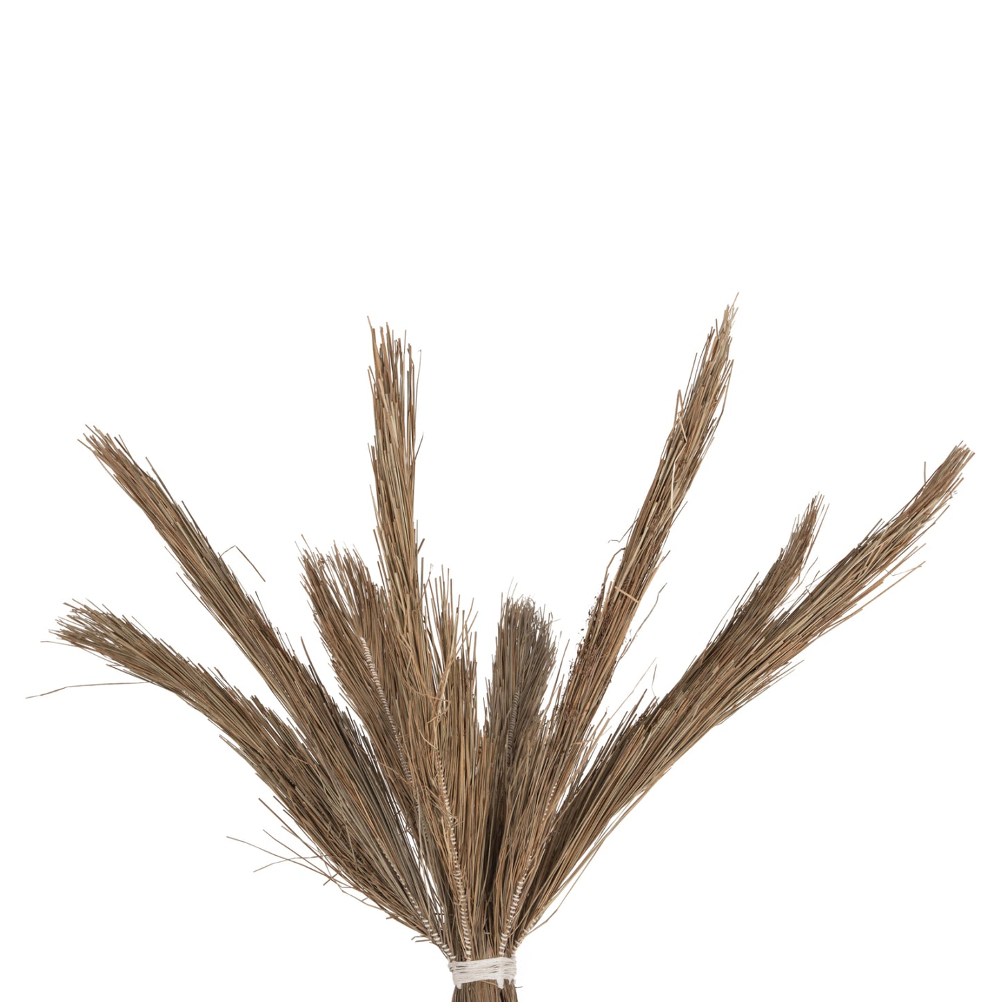 Decorative Tree Tropic Hm4324 Coconut-style Made Of Mendong Grass 280hcm.