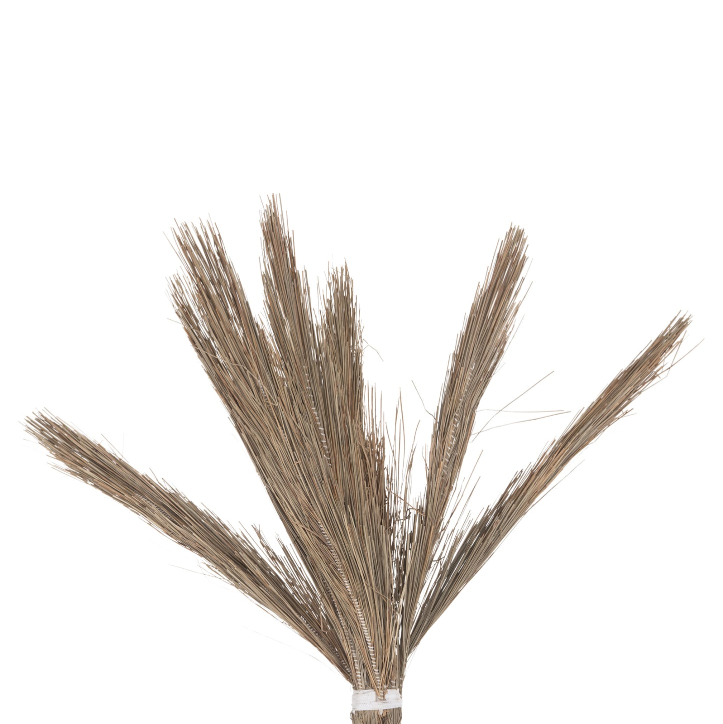 Decorative Tree Tropic Hm4325 Coconut-style Made Of Mendong Grass 210hcm.