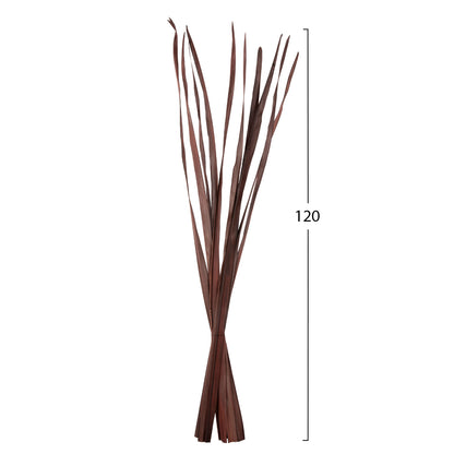 Decorative Dried Sword Leaf Bouquet Hm7965 10pcs Brown 120hcm.