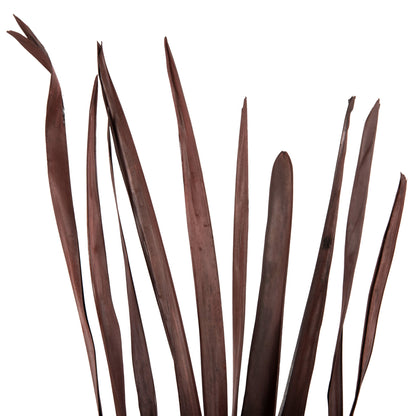 Decorative Dried Sword Leaf Bouquet Hm7965 10pcs Brown 120hcm.