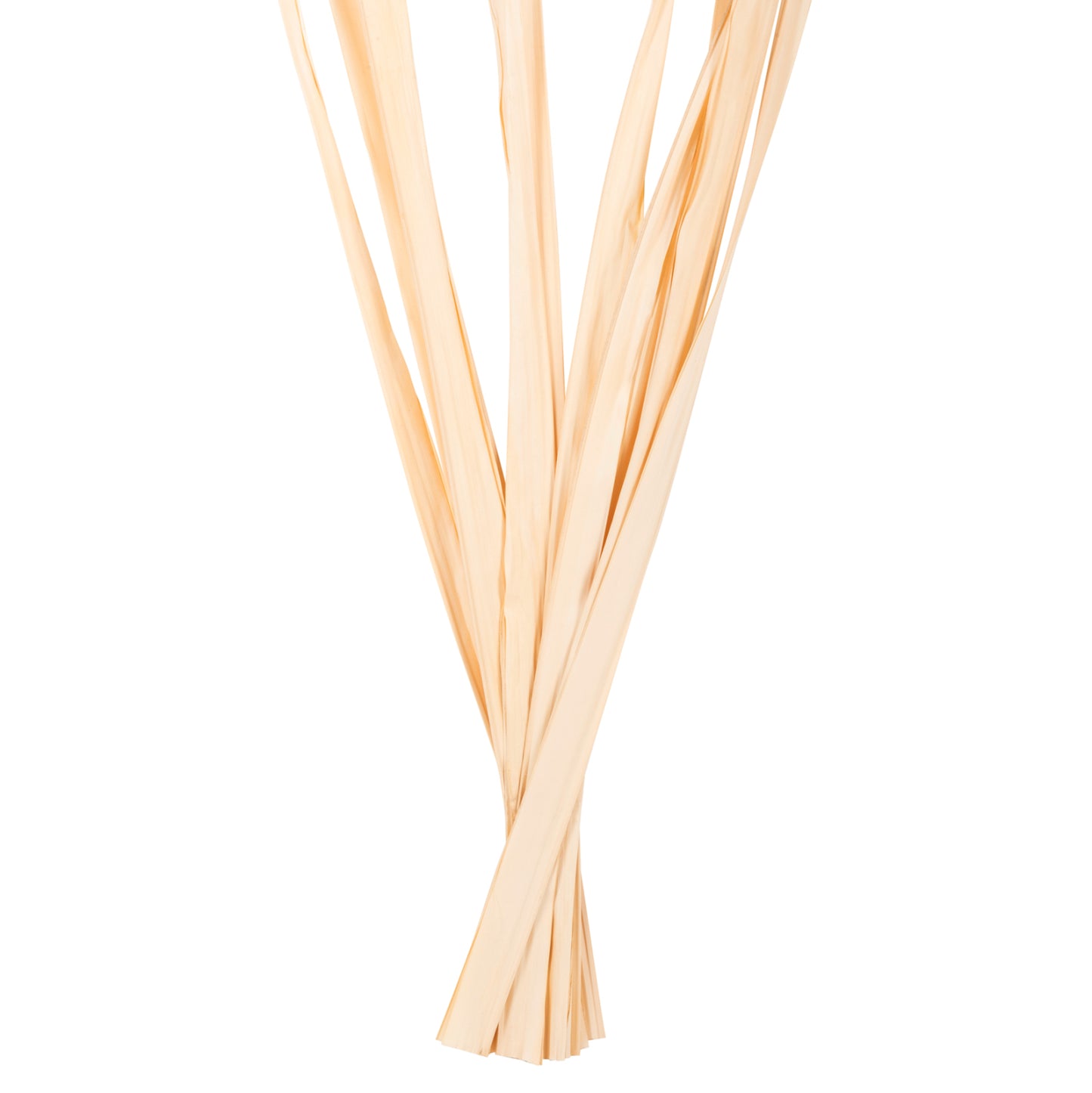 Decorative Dried Sword Leaf Bouquet Hm7964 10pcs Natural 120hcm.