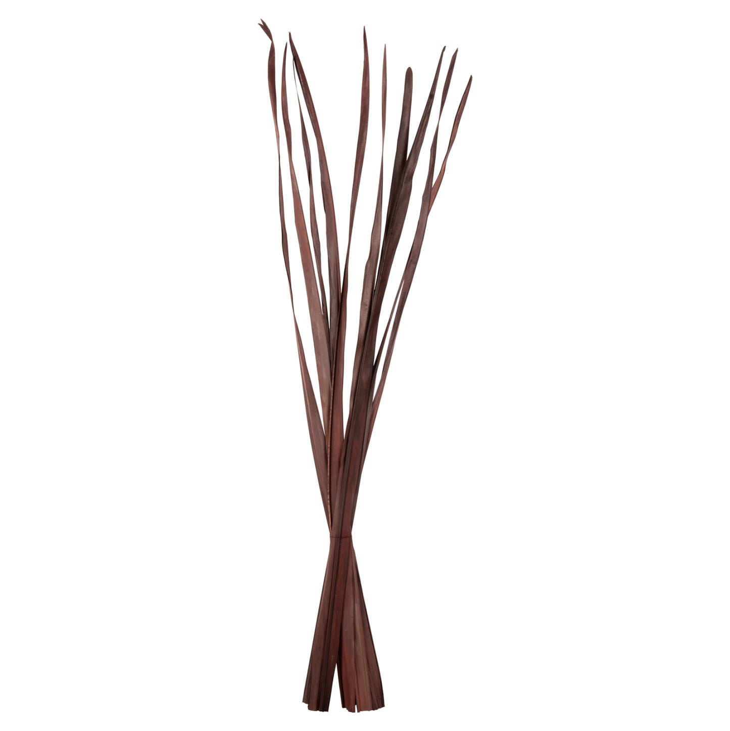 Decorative Dried Sword Leaf Bouquet Hm7965 10pcs Brown 120hcm.