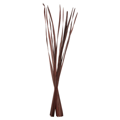 Decorative Dried Sword Leaf Bouquet Hm7965 10pcs Brown 120hcm.
