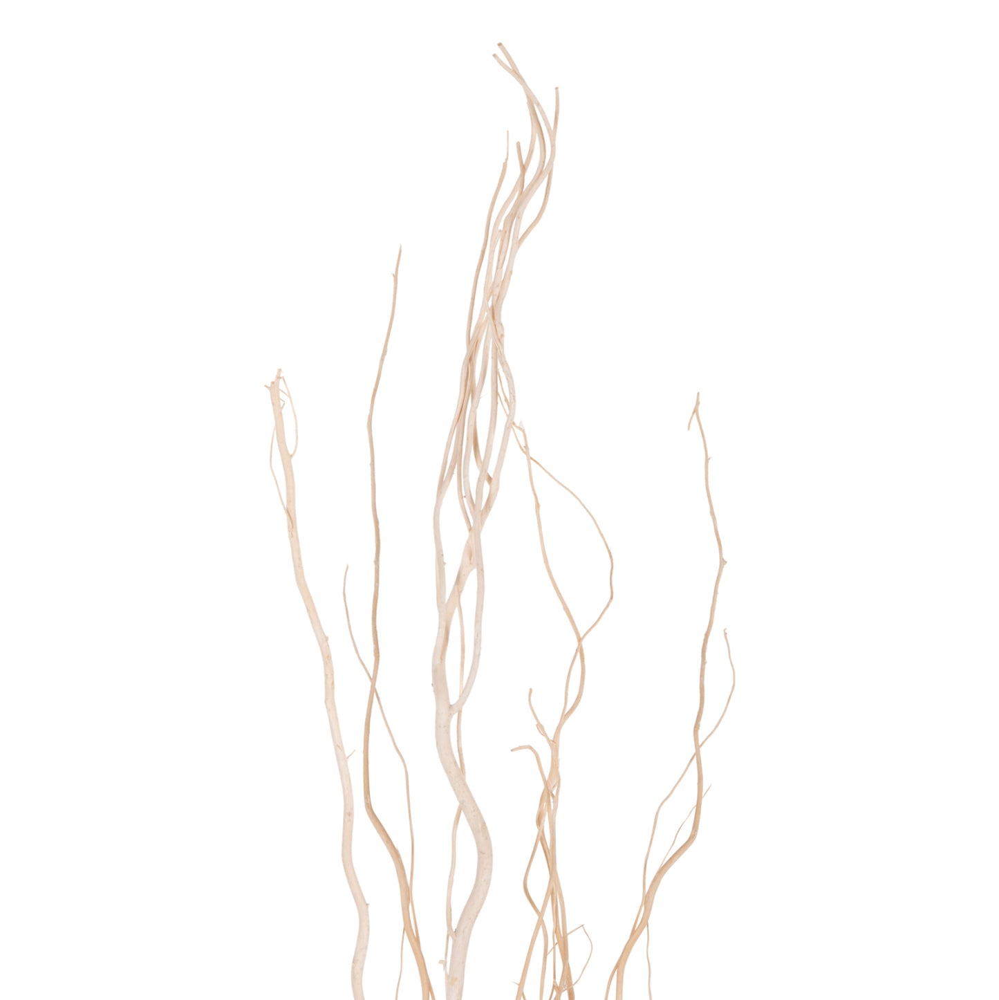 Decorative Bouquet 5pcs Dried Willow Branches Hm7966 Cream 170hcm.