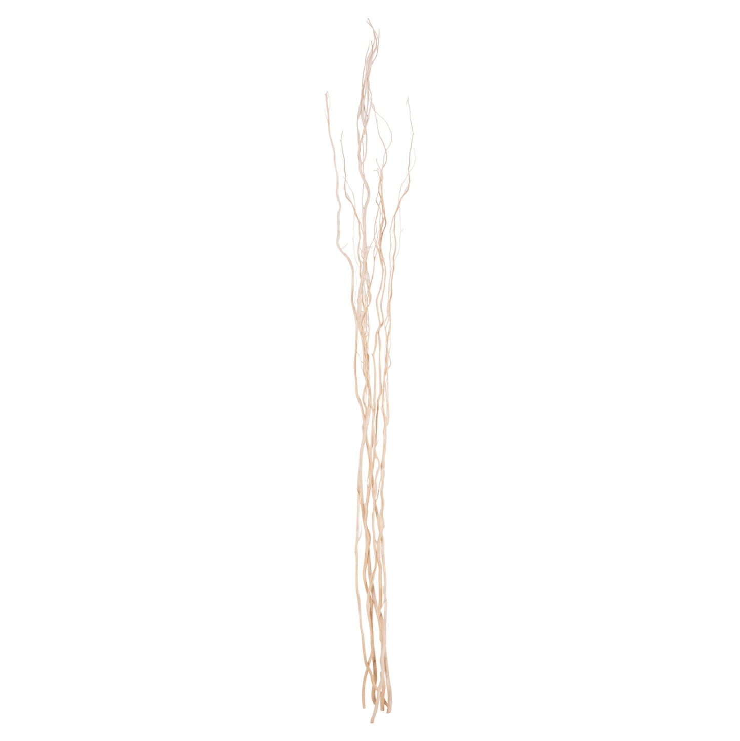 Decorative Bouquet 5pcs Dried Willow Branches Hm7966 Cream 170hcm.