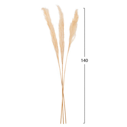 Decorative Dried Reed 3pcs Hm7961 White 140hcm.