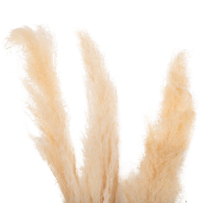Decorative Dried Reed 3pcs Hm7961 White 140hcm.