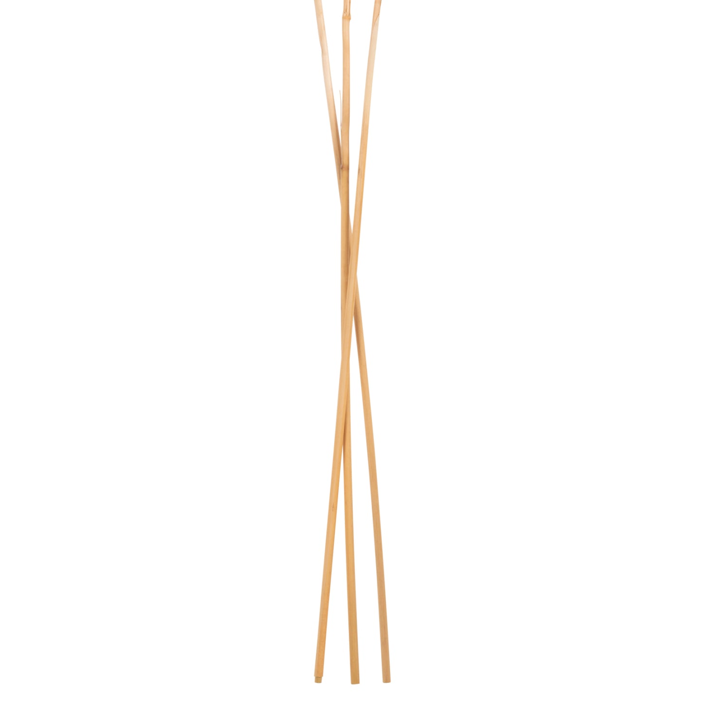 Decorative Dried Reed 3pcs Hm7961 White 140hcm.
