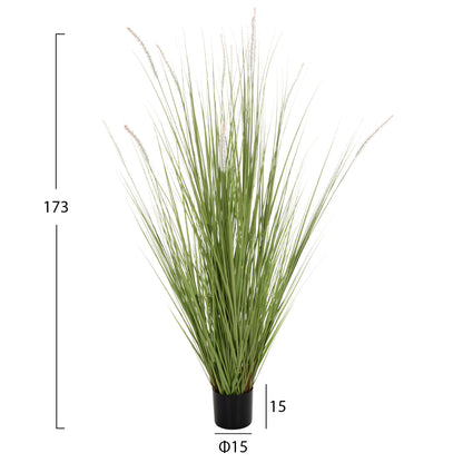 Decorative Synthetic Plant In Pot Hm4017 Bristlegrass 173hcm.