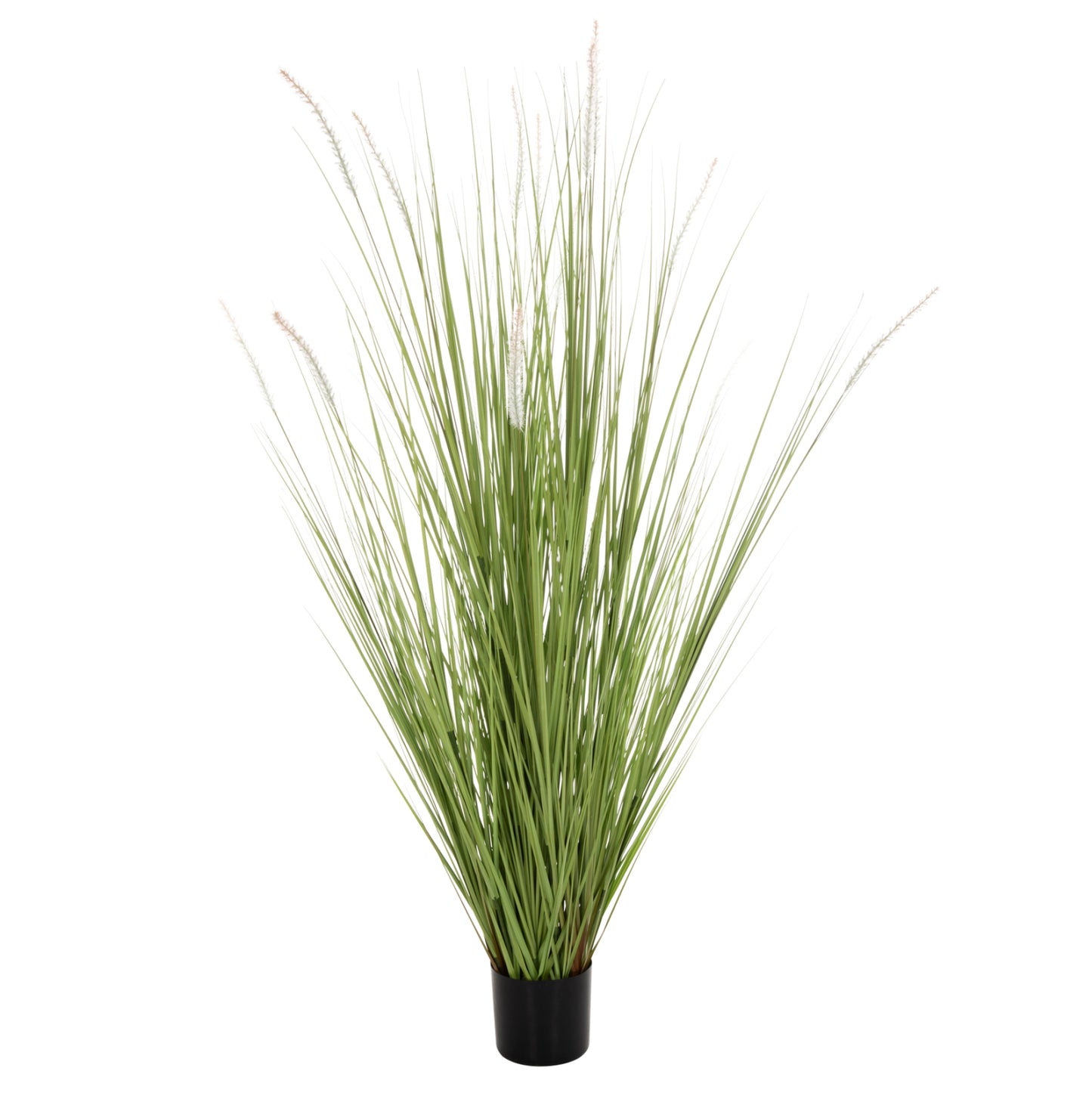 Synthetic Plant Bristlegrass H173cm