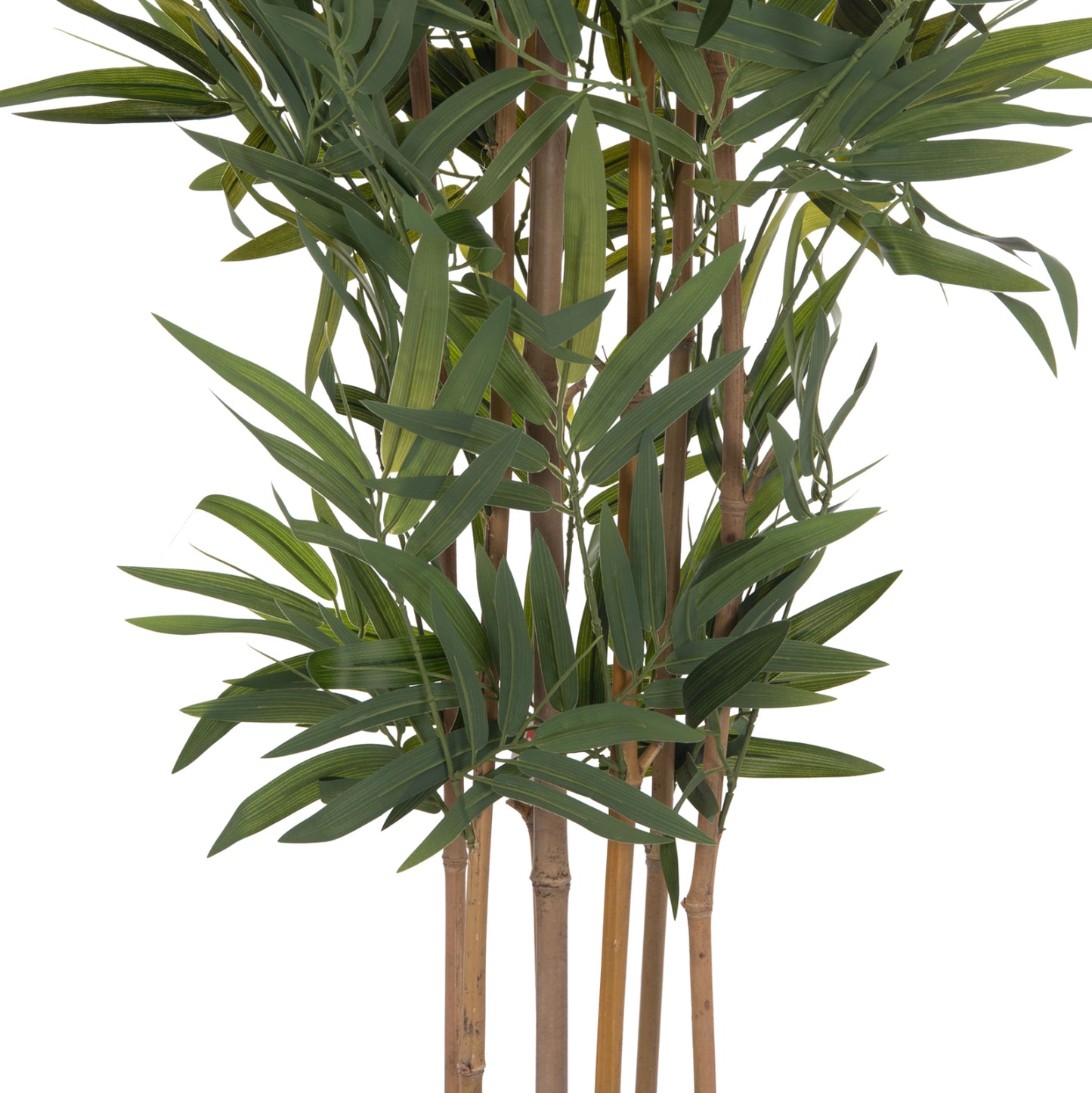 Synthetic Plant Bamboo - H180cm
