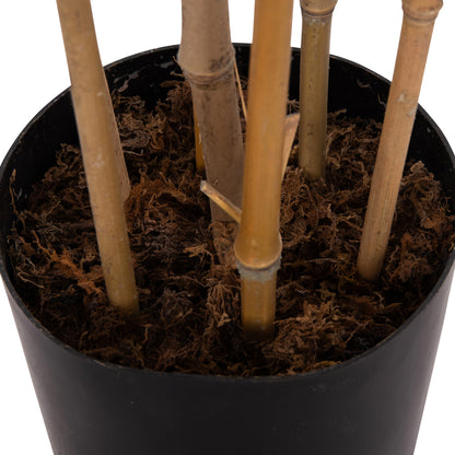 Synthetic Plant Bamboo - H180cm