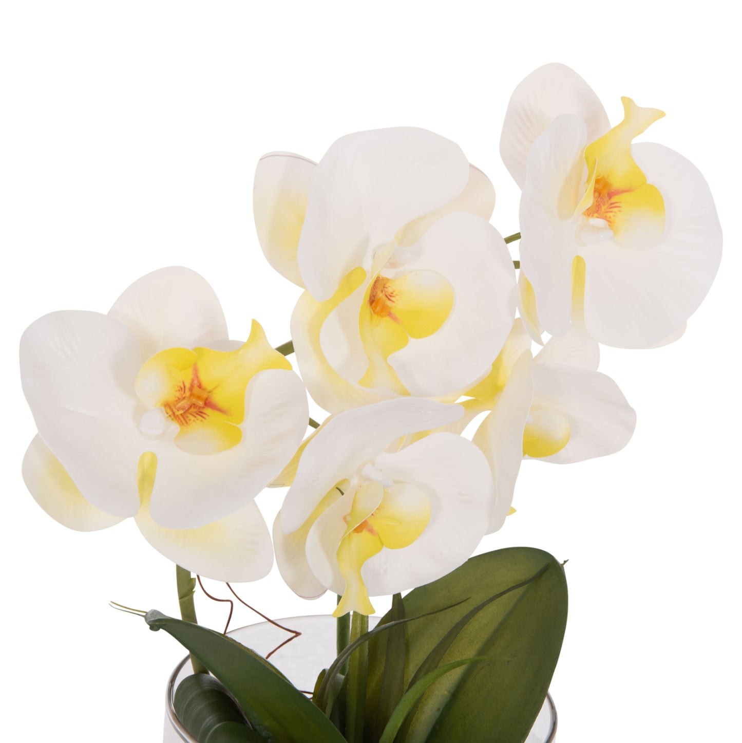 Decorative Synthetic Plant Hm4738 Phalaenopsis Flower In Glass Pot 12x24x30hcm.