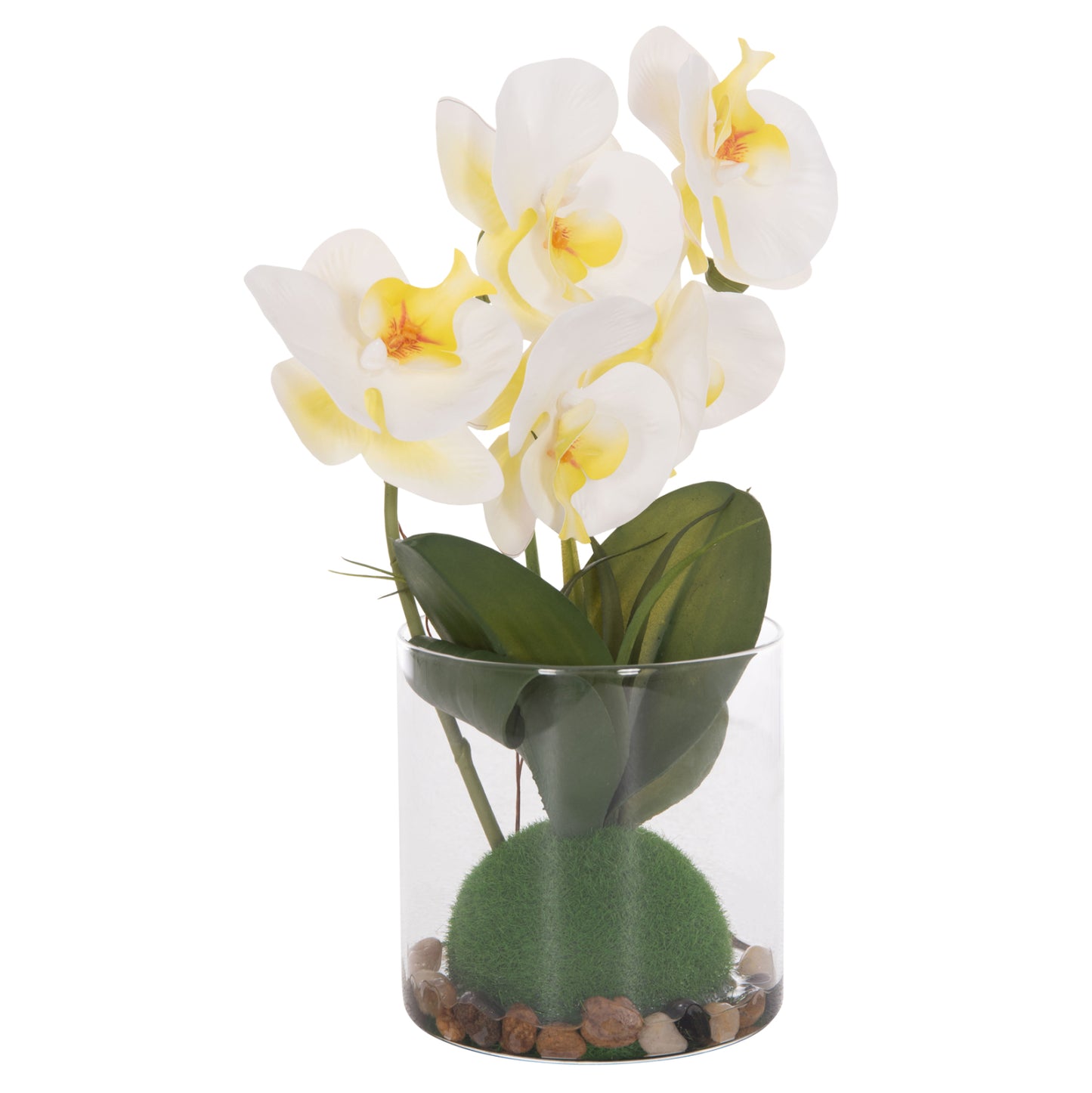 Decorative Synthetic Plant Hm4738 Phalaenopsis Flower In Glass Pot 12x24x30hcm.