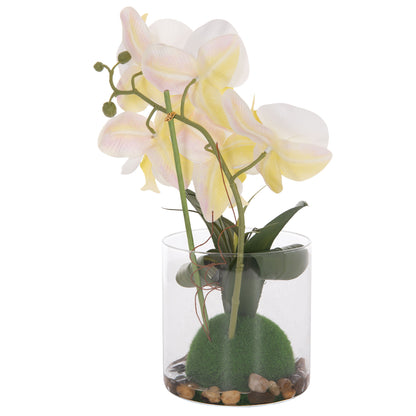 Decorative Synthetic Plant Hm4738 Phalaenopsis Flower In Glass Pot 12x24x30hcm.
