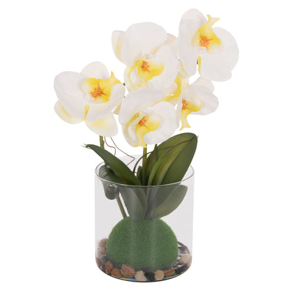 Decorative Synthetic Plant Hm4738 Phalaenopsis Flower In Glass Pot 12x24x30hcm.