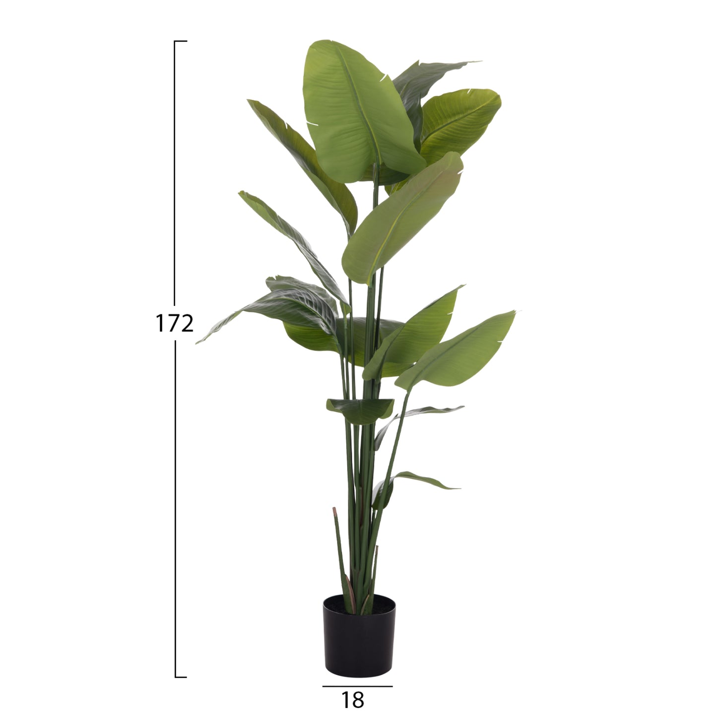 Synthetic Plant Strelitzia - H172cm