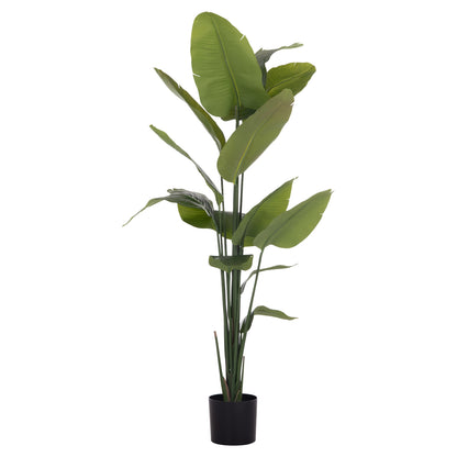 Synthetic Plant Strelitzia - H172cm