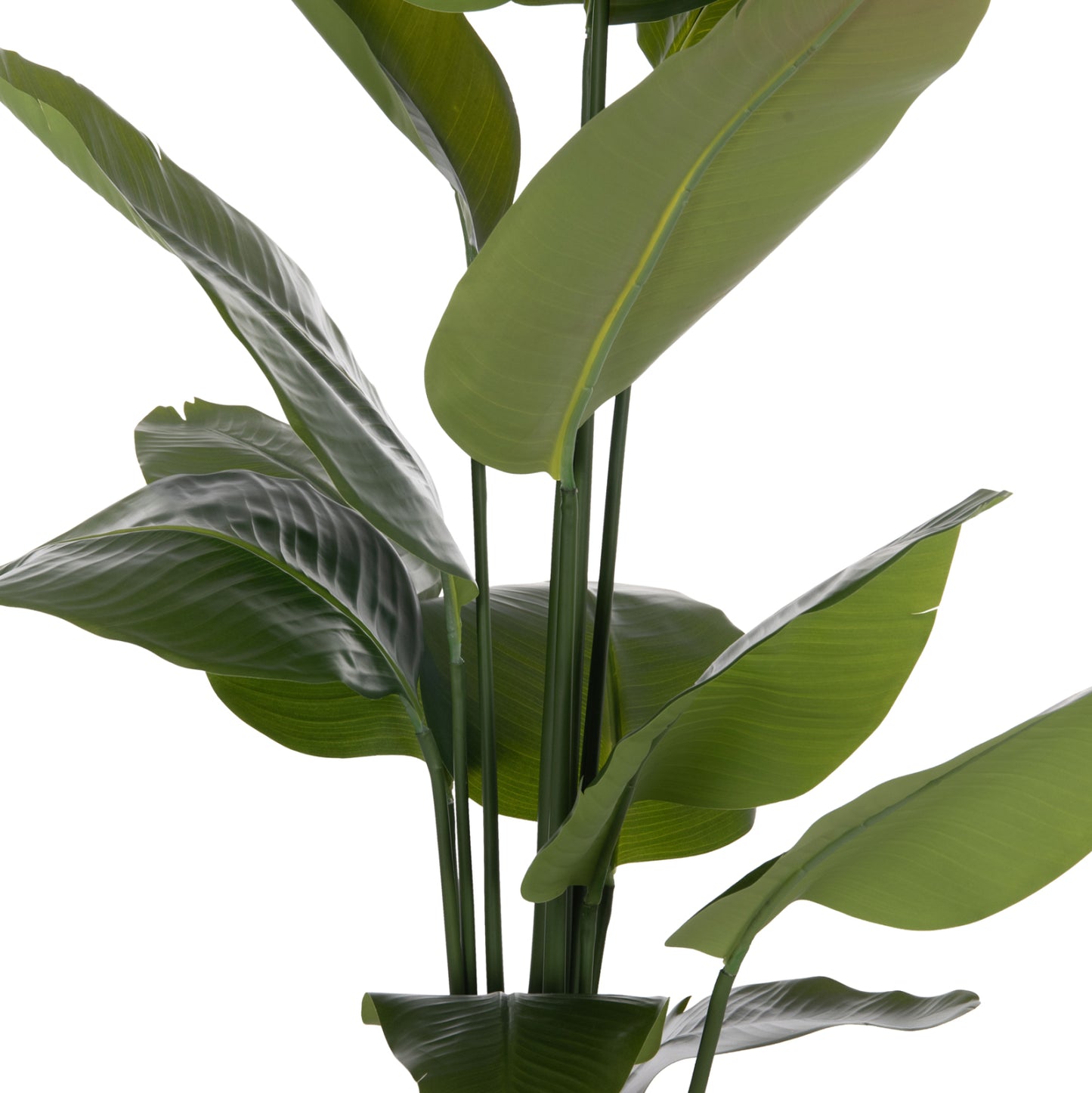 Decorative Synthetic Plant In Pot Hm4739 Strelitzia Φ18x172hcm.