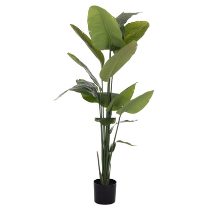 Synthetic Plant Strelitzia - H172cm