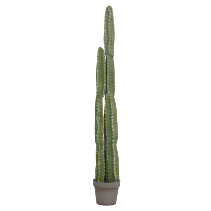 Decorative Synthetic Plant In Pot Hm4741 Cactus Φ19.5x141hcm.