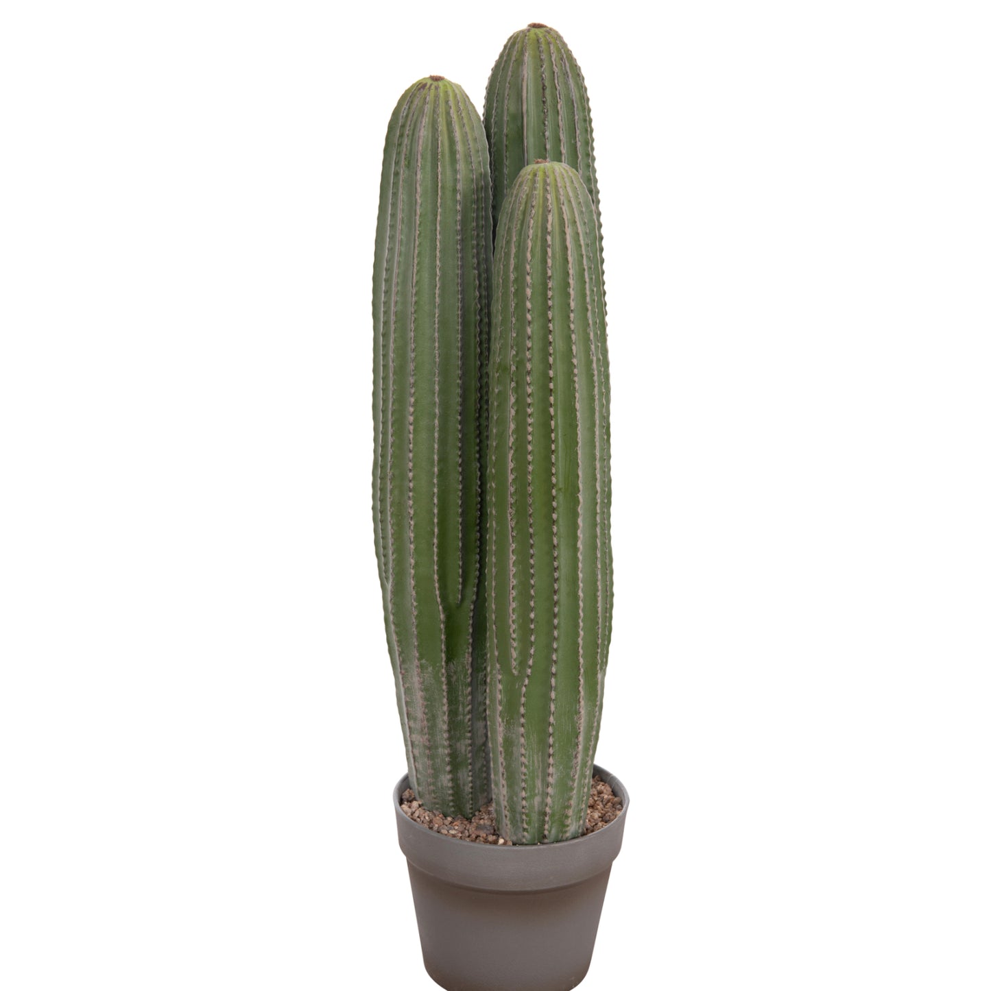 Decorative Synthetic Plant In Pot Hm4743 Cactus Φ16x62hcm.