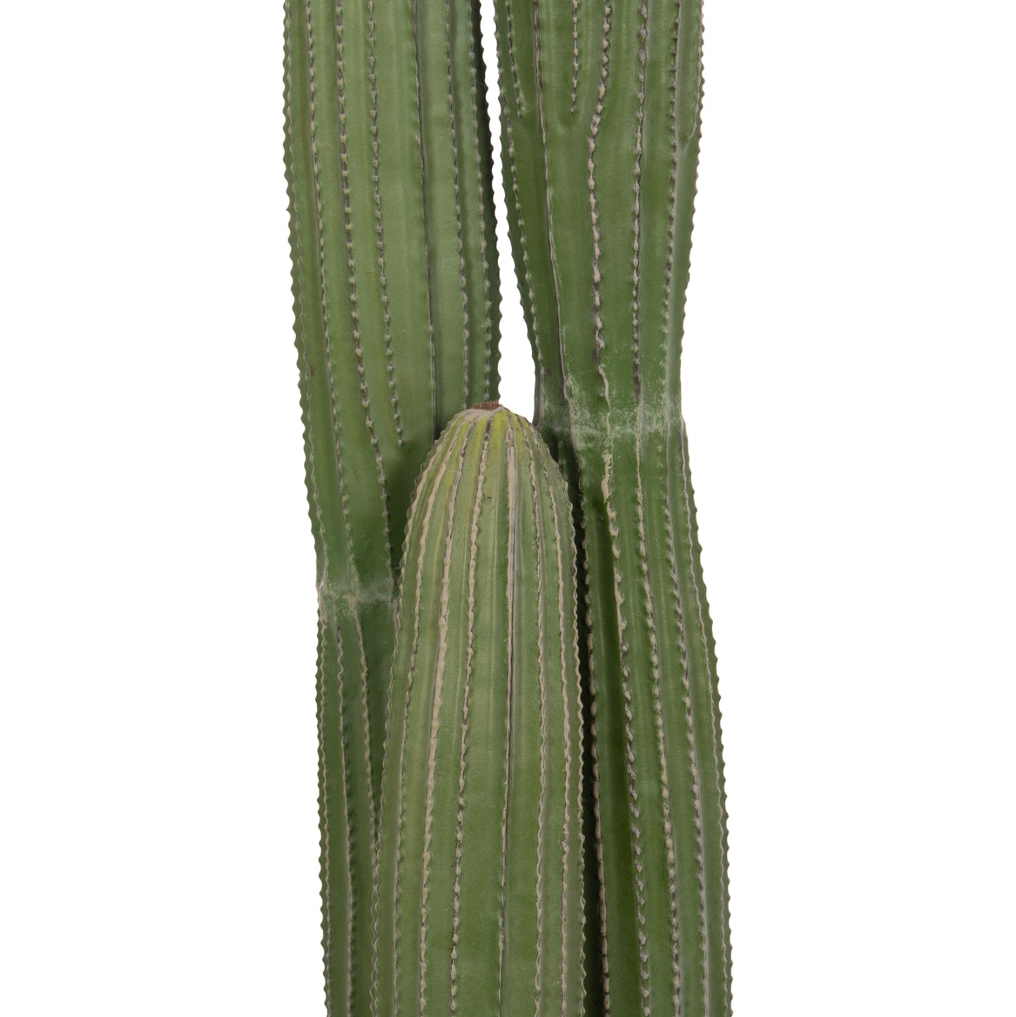 Decorative Synthetic Plant In Pot Hm4744 Cactus Φ17.5x105hcm.