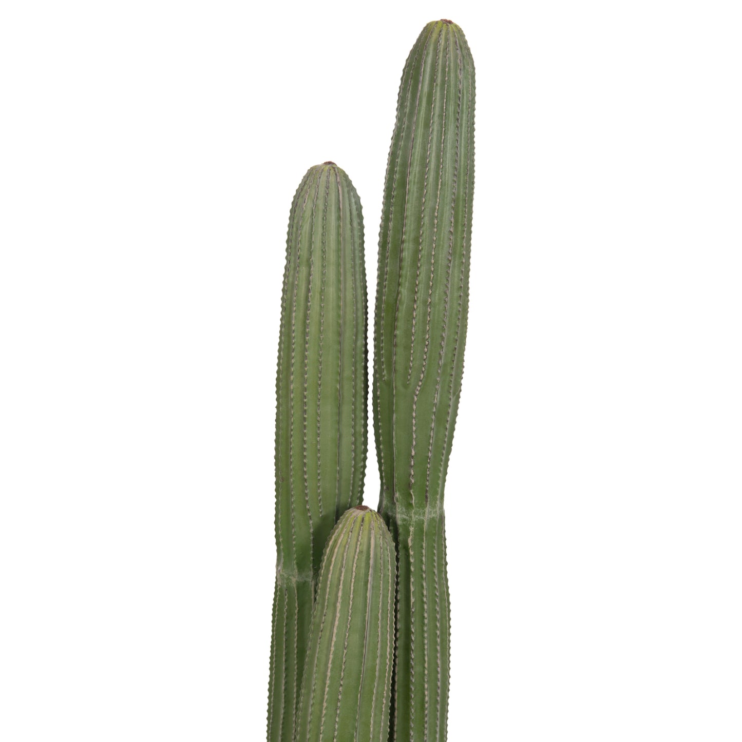 Decorative Synthetic Plant In Pot Hm4744 Cactus Φ17.5x105hcm.