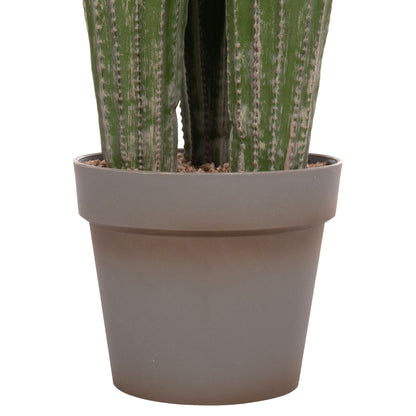 Decorative Synthetic Plant In Pot Hm4745 Cactus Φ17.5x144hcm.