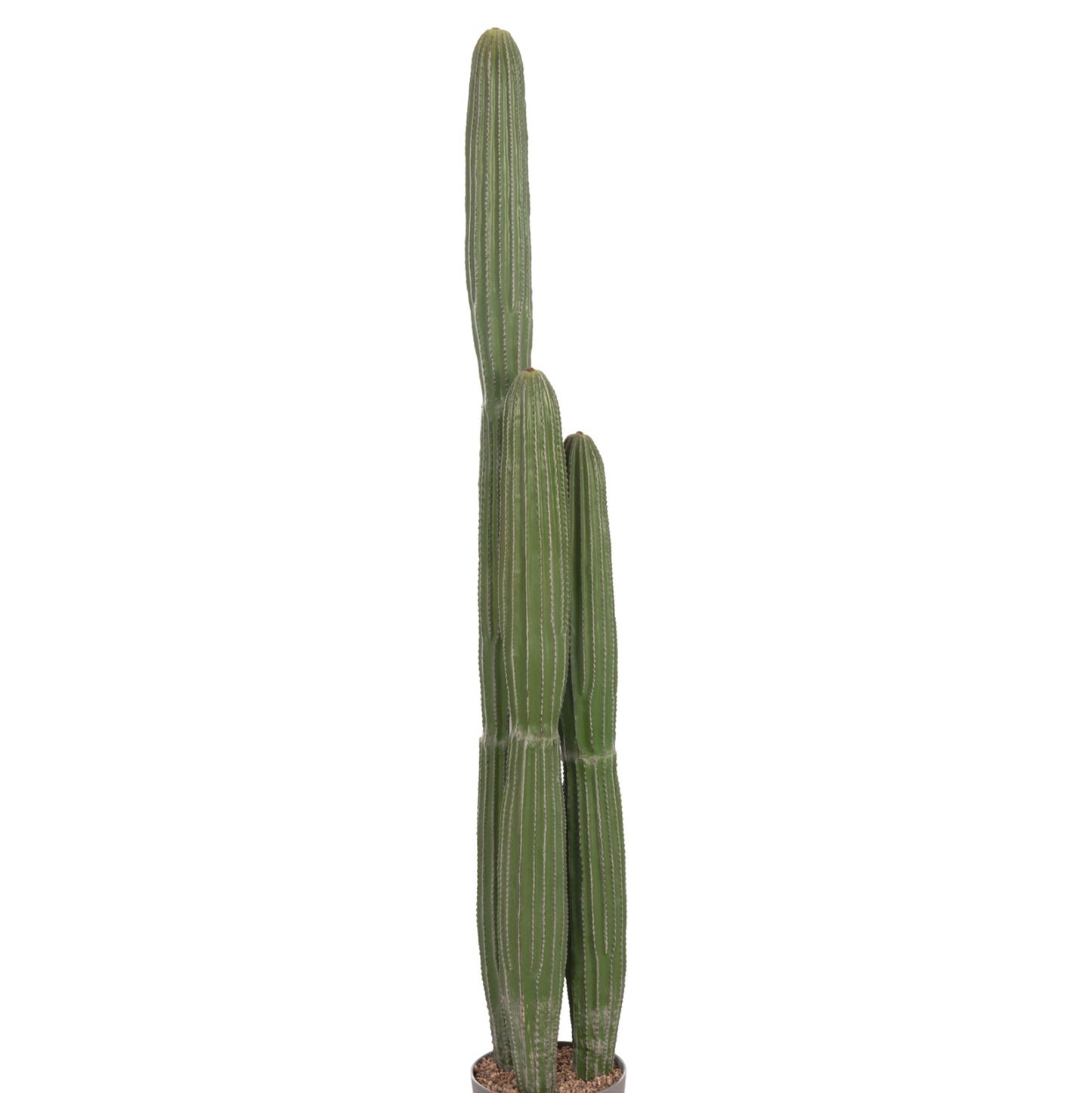 Decorative Synthetic Plant In Pot Hm4745 Cactus Φ17.5x144hcm.