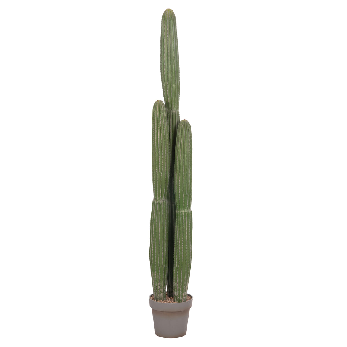Decorative Synthetic Plant In Pot Hm4745 Cactus Φ17.5x144hcm.