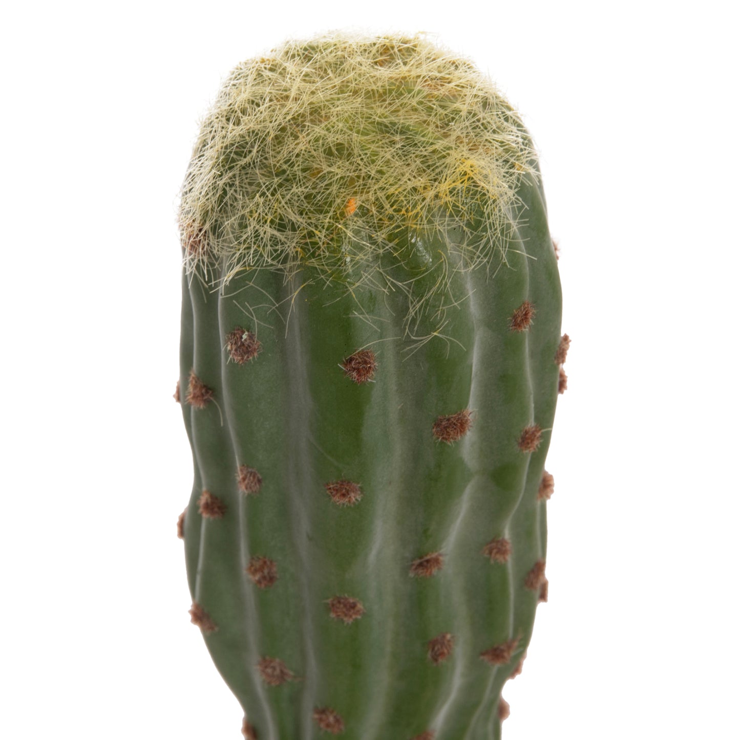 Decorative Synthetic Plant In Pot Hm4747 Cactus Φ17.5x115hcm.