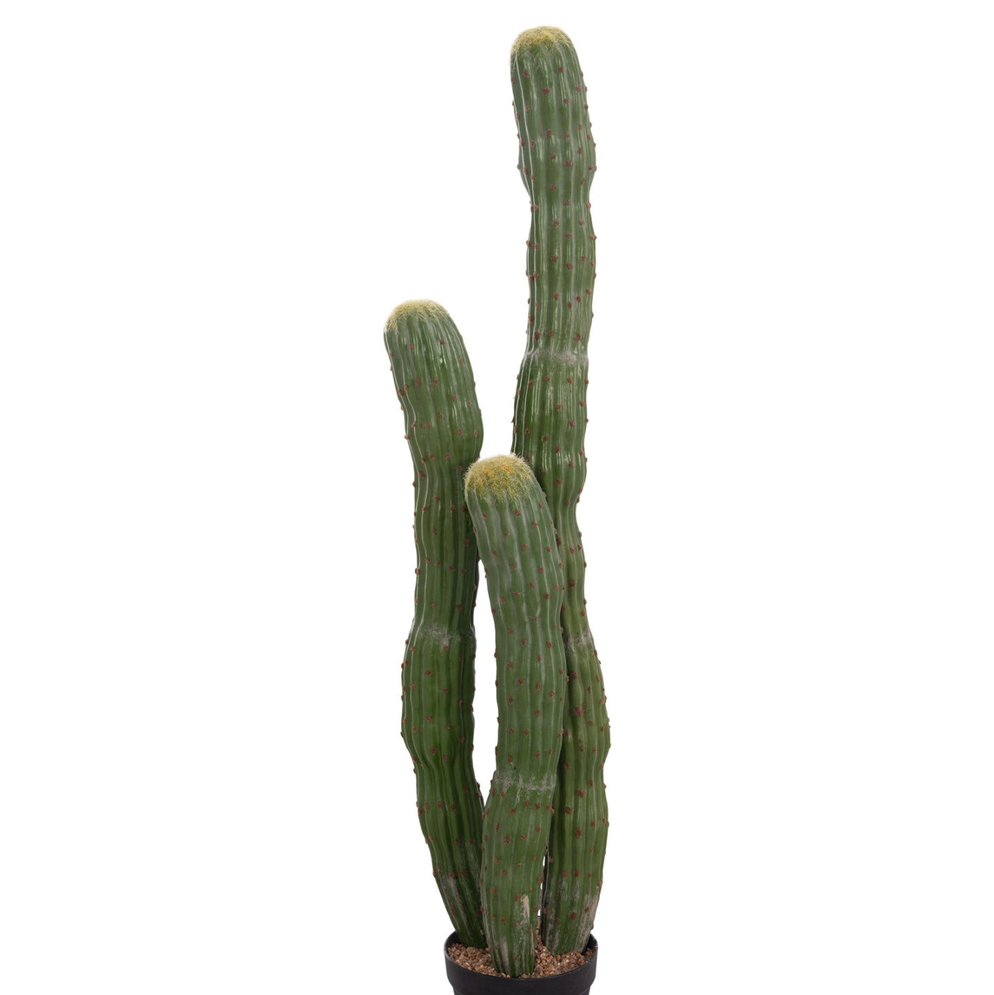 Decorative Synthetic Plant In Pot Hm4747 Cactus Φ17.5x115hcm.
